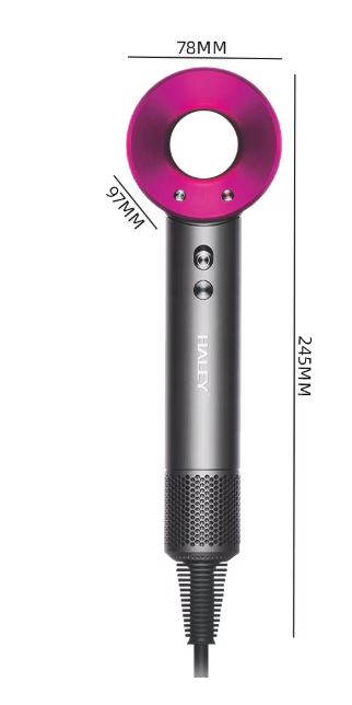 HALEY HY-4009 Professional Hair Dryer