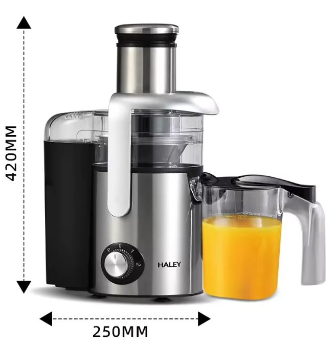 Electric juicer Haley HY-978