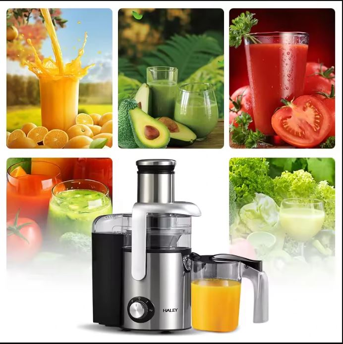 Electric juicer Haley HY-978